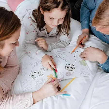 Hotell Ibis Paris Nord Parc Des Expositions 3*