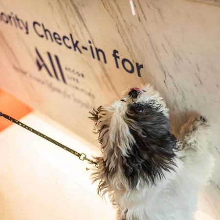 Ibis Paris Nord Parc Des Expositions Hotell Villepinte (Seine-Saint-Denis)